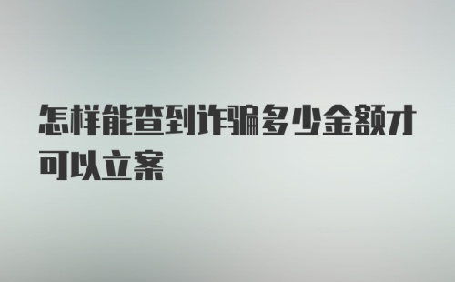 怎样能查到诈骗多少金额才可以立案