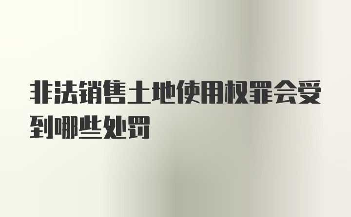 非法销售土地使用权罪会受到哪些处罚