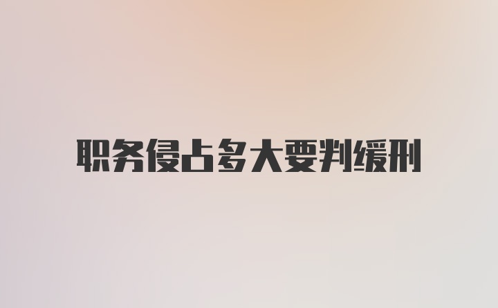 职务侵占多大要判缓刑