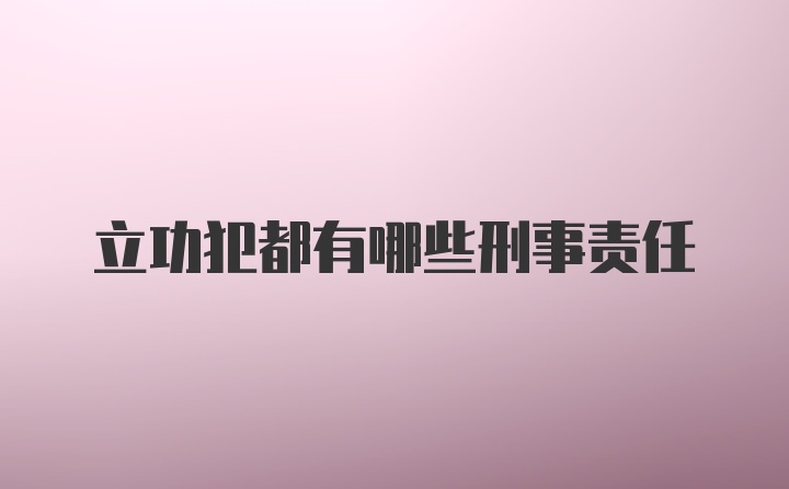 立功犯都有哪些刑事责任