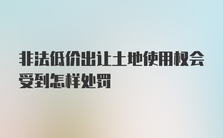 非法低价出让土地使用权会受到怎样处罚