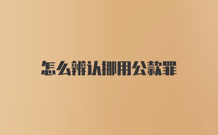 怎么辨认挪用公款罪