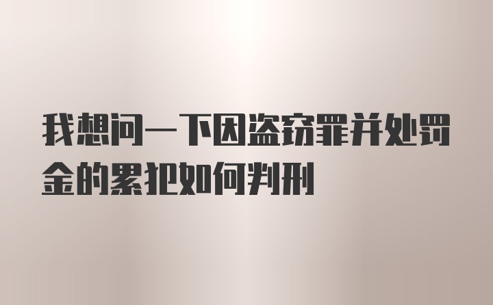 我想问一下因盗窃罪并处罚金的累犯如何判刑