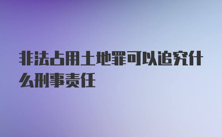 非法占用土地罪可以追究什么刑事责任