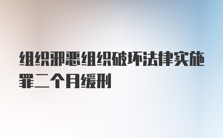 组织邪恶组织破坏法律实施罪二个月缓刑