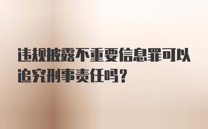 违规披露不重要信息罪可以追究刑事责任吗？