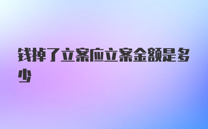 钱掉了立案应立案金额是多少