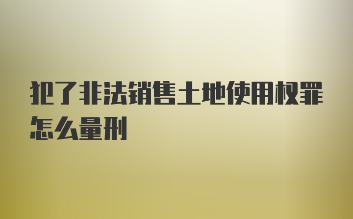 犯了非法销售土地使用权罪怎么量刑