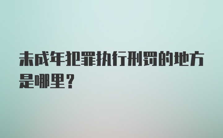 未成年犯罪执行刑罚的地方是哪里？