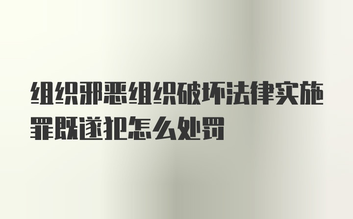 组织邪恶组织破坏法律实施罪既遂犯怎么处罚