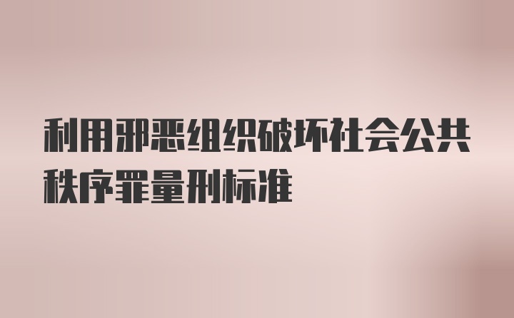 利用邪恶组织破坏社会公共秩序罪量刑标准