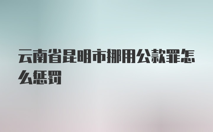 云南省昆明市挪用公款罪怎么惩罚