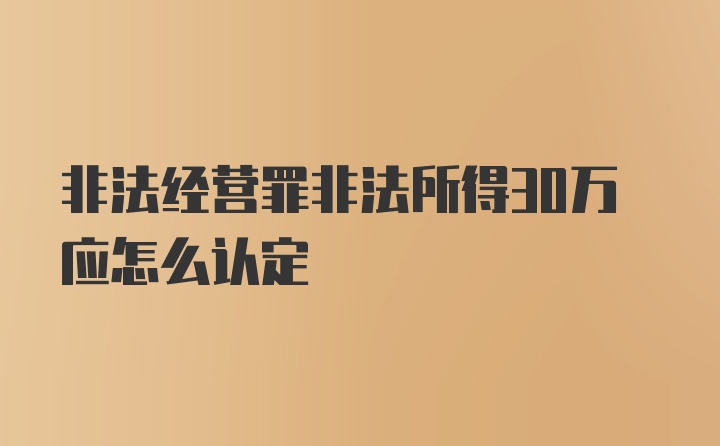 非法经营罪非法所得30万应怎么认定