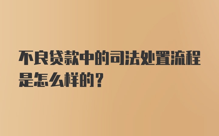 不良贷款中的司法处置流程是怎么样的？