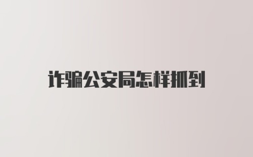 诈骗公安局怎样抓到