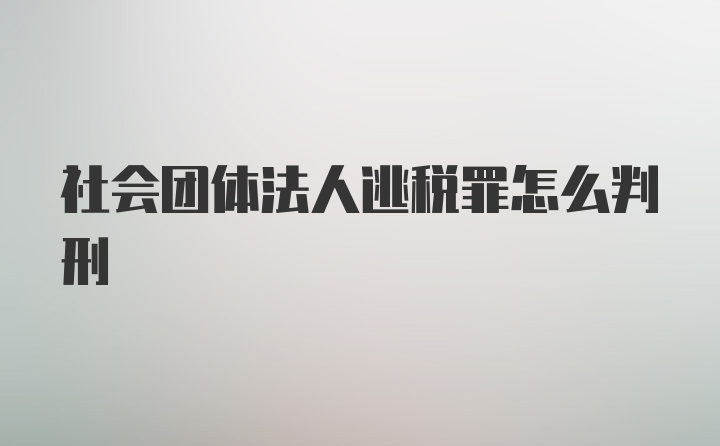 社会团体法人逃税罪怎么判刑