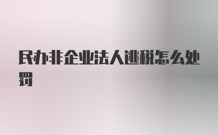 民办非企业法人逃税怎么处罚