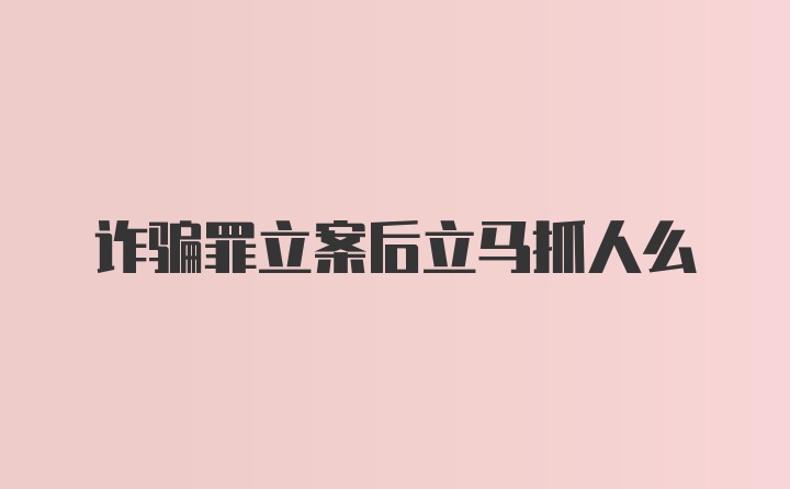 诈骗罪立案后立马抓人么