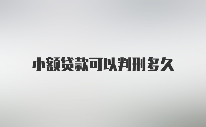 小额贷款可以判刑多久