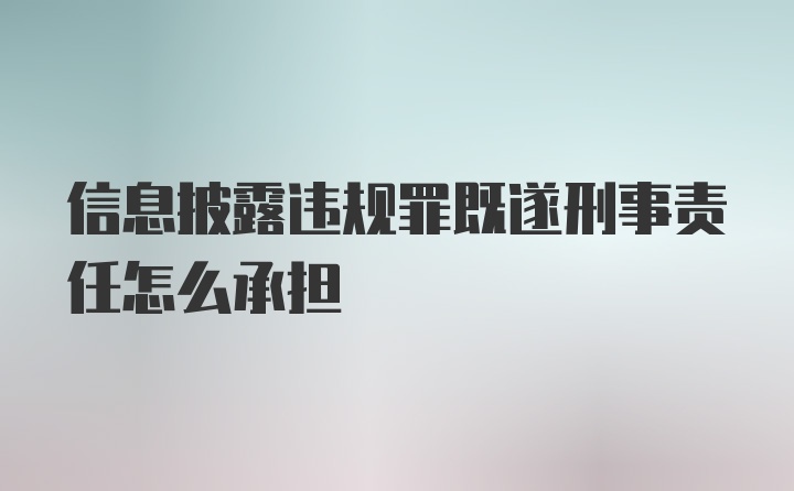 信息披露违规罪既遂刑事责任怎么承担