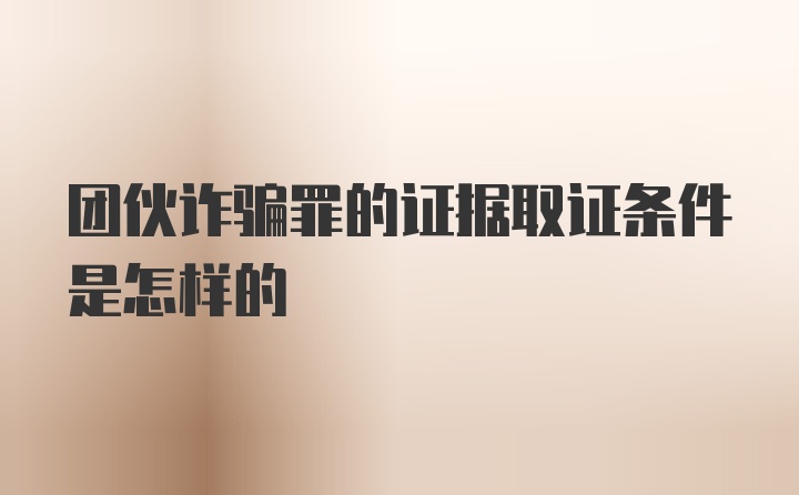 团伙诈骗罪的证据取证条件是怎样的