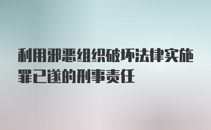 利用邪恶组织破坏法律实施罪已遂的刑事责任