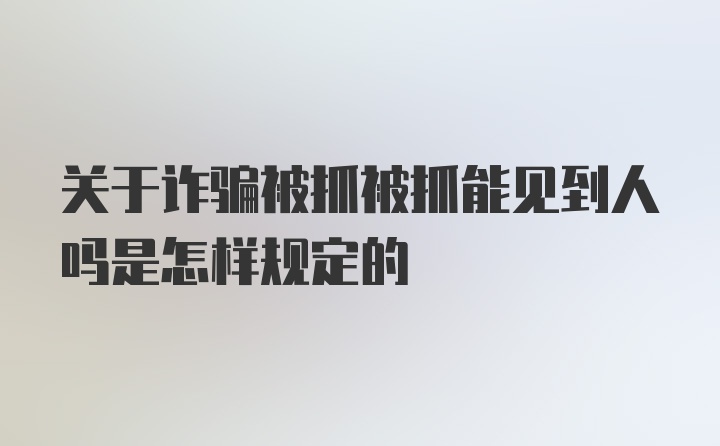 关于诈骗被抓被抓能见到人吗是怎样规定的