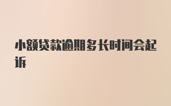 小额贷款逾期多长时间会起诉