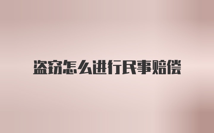 盗窃怎么进行民事赔偿