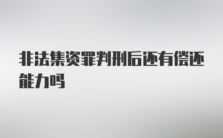 非法集资罪判刑后还有偿还能力吗