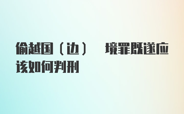 偷越国(边) 境罪既遂应该如何判刑