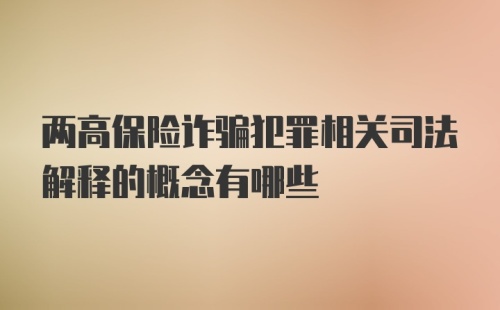 两高保险诈骗犯罪相关司法解释的概念有哪些