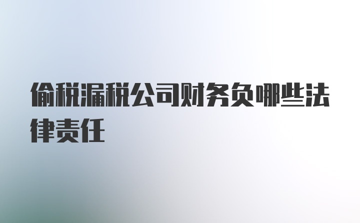 偷税漏税公司财务负哪些法律责任