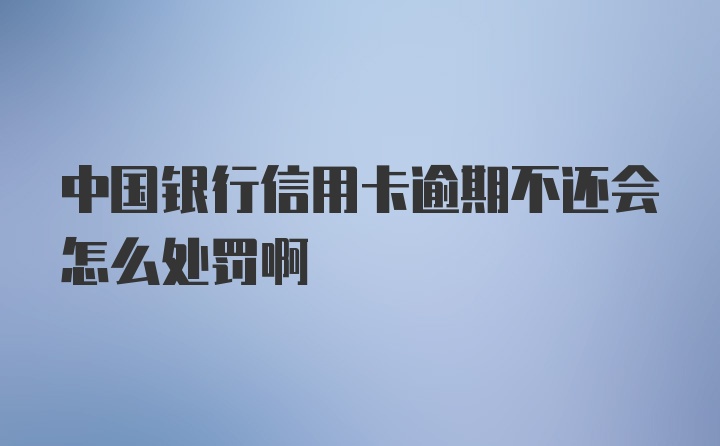 中国银行信用卡逾期不还会怎么处罚啊