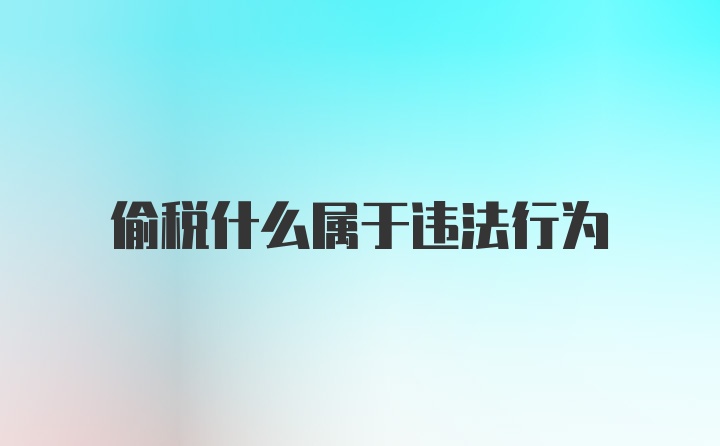 偷税什么属于违法行为