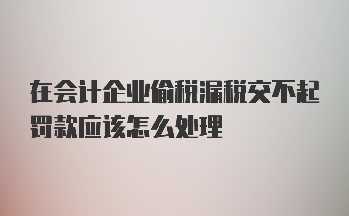 在会计企业偷税漏税交不起罚款应该怎么处理