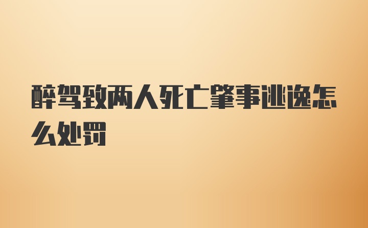 醉驾致两人死亡肇事逃逸怎么处罚