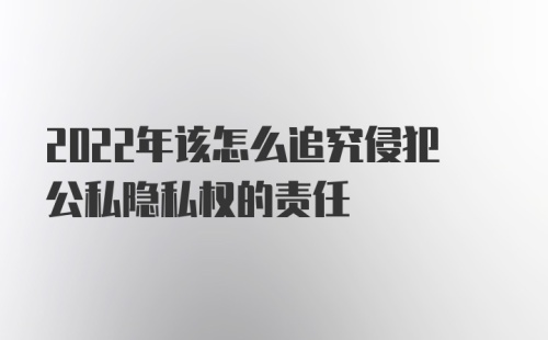 2022年该怎么追究侵犯公私隐私权的责任