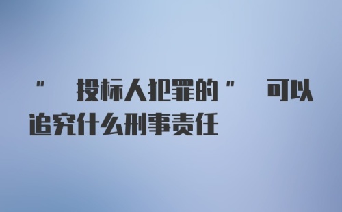 " 投标人犯罪的" 可以追究什么刑事责任