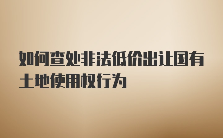 如何查处非法低价出让国有土地使用权行为