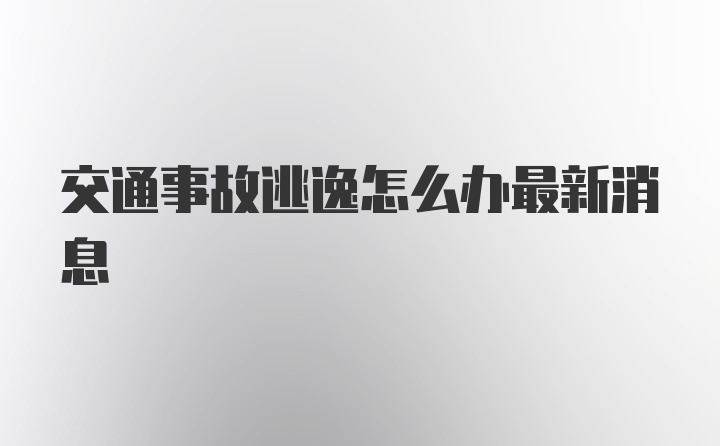 交通事故逃逸怎么办最新消息