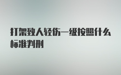 打架致人轻伤一级按照什么标准判刑