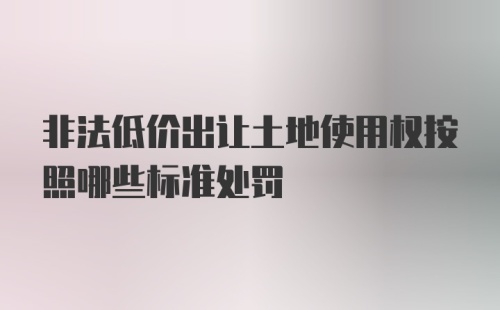 非法低价出让土地使用权按照哪些标准处罚