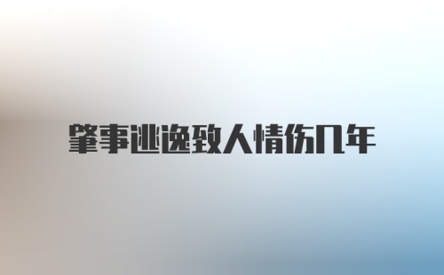 肇事逃逸致人情伤几年