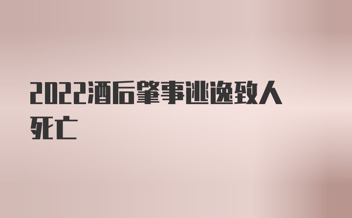 2022酒后肇事逃逸致人死亡