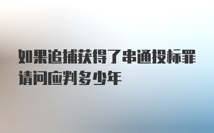 如果追捕获得了串通投标罪请问应判多少年