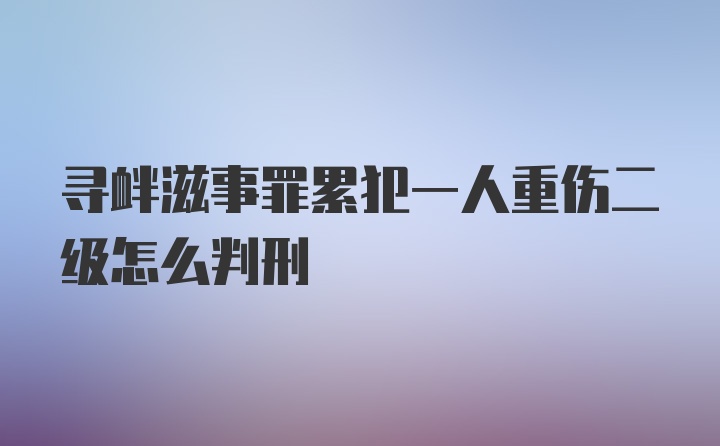 寻衅滋事罪累犯一人重伤二级怎么判刑