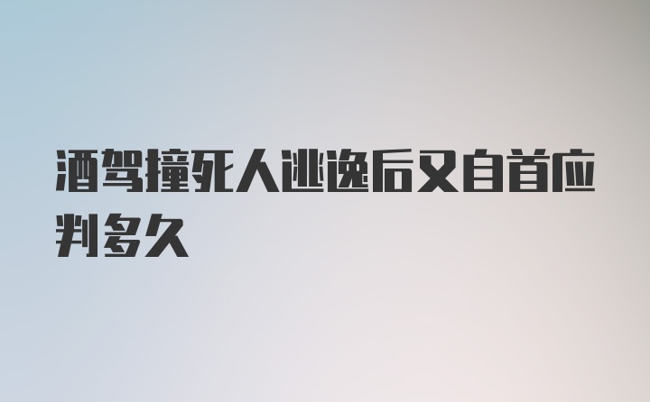 酒驾撞死人逃逸后又自首应判多久