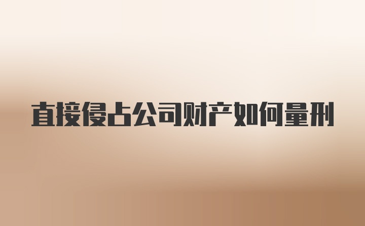 直接侵占公司财产如何量刑