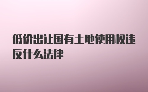 低价出让国有土地使用权违反什么法律